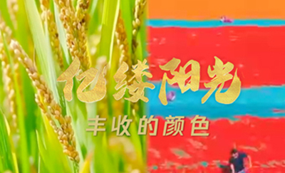 文章附图