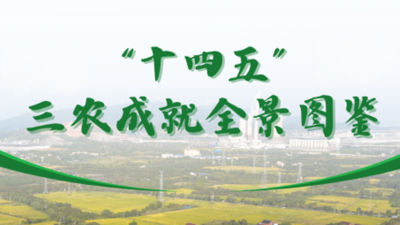 文章附图